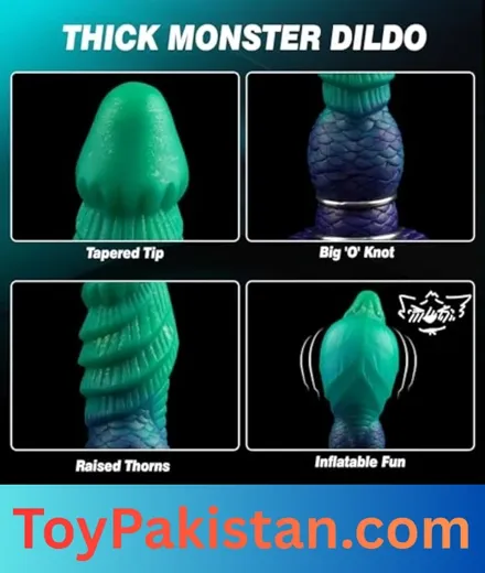 adult sex toys for couple in pakistan (4)