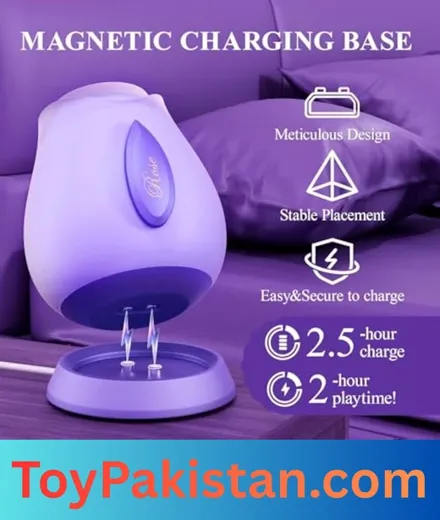 adult sex toys for female in pakistan (4)