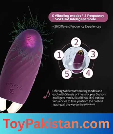 buy sex toys in pakistan (2)