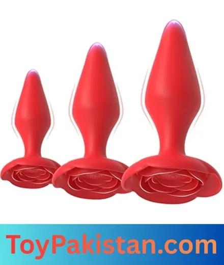 online anal plug sex toy in pakistan (1)