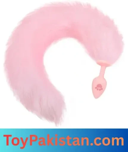 order anal plug in pakistan (1)