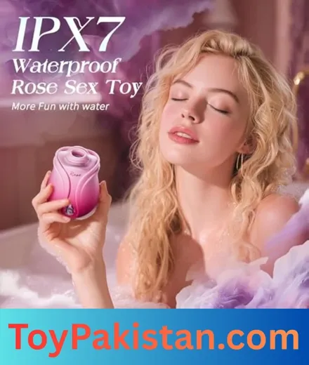 order sex toys (6)