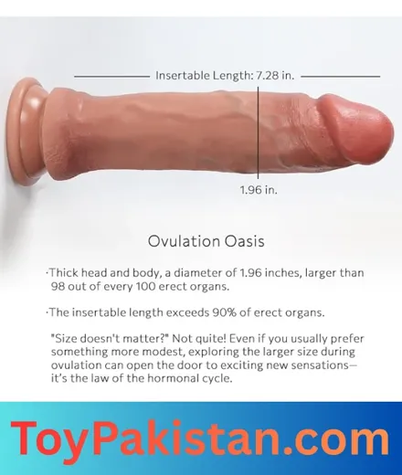 order sex toys in rawalpindi (5)