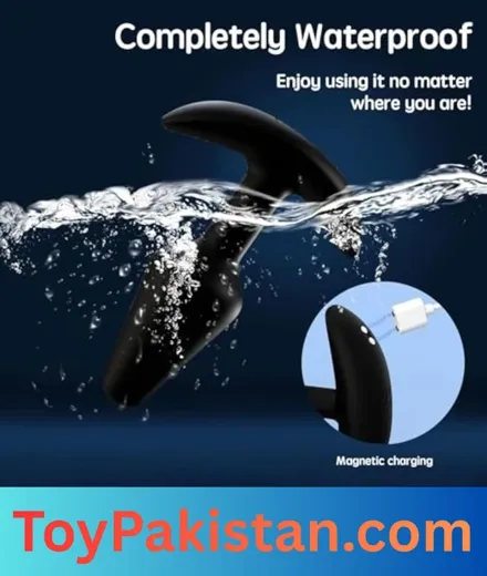 sex toy butt plug in pakistan (5)