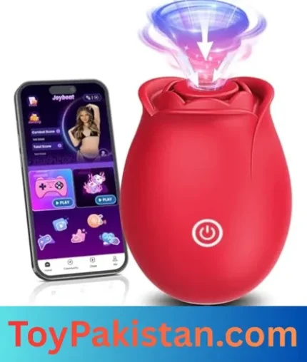 sex toys for women (1)