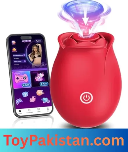 sex toys for women (1)