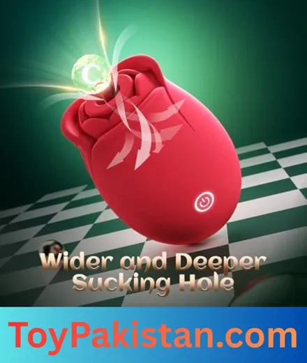 sex toys for women (3)