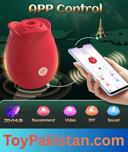 sex toys for women (4)