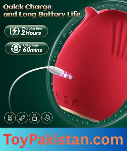 sex toys for women (6)