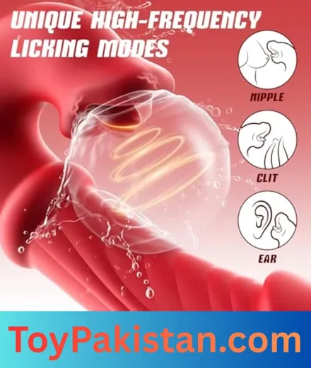 shop female vibrator (4)