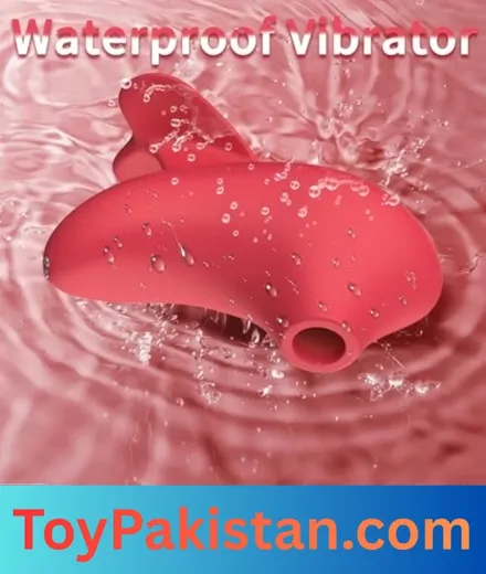 top sex toys in pakistan (6)